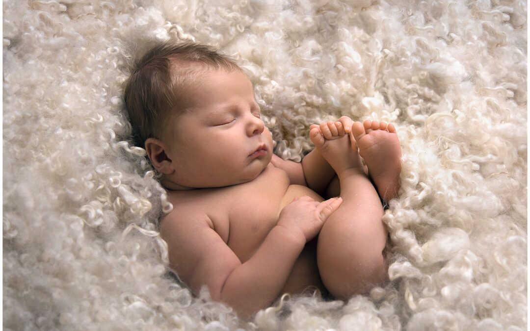 Nyföddfotografering Harry