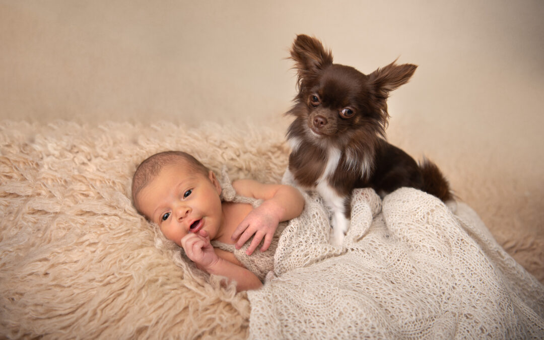 Nyföddfotografering Kristianstad Freya med sin hundkompis Cloe